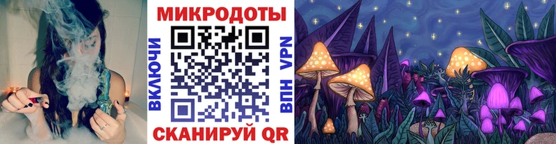 Купить закладки  Таганрог  Галлюциногенные грибы мицелий 